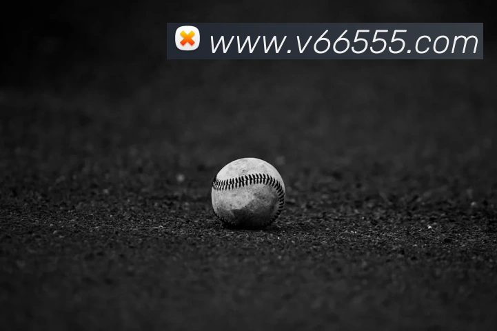 V66体育发展历程